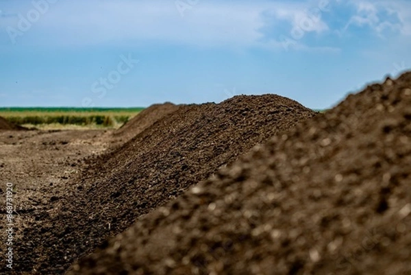 Fototapeta compost making process in progress