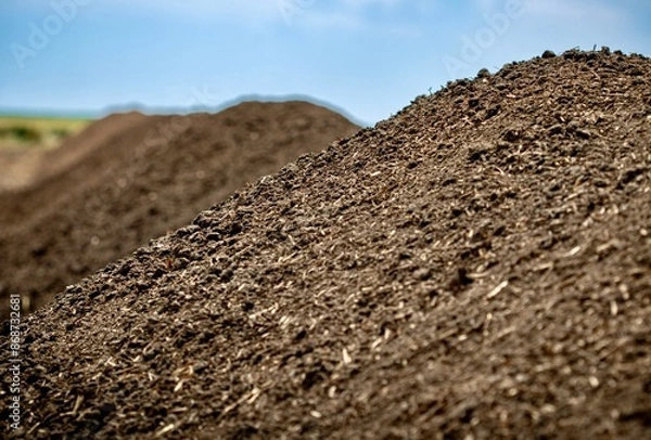 Obraz pile of compost 