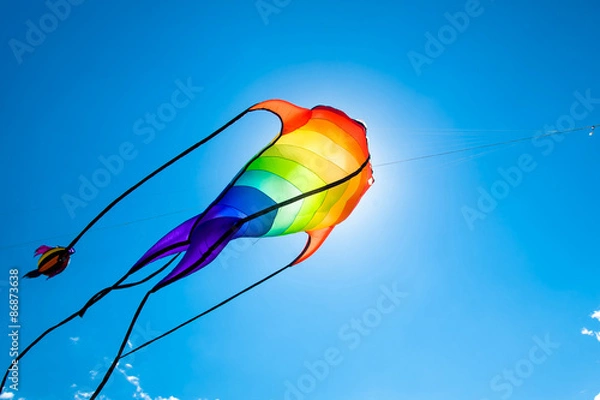 Obraz Fish-like kite flying on the sky