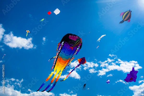 Obraz Various kites flying on the sky