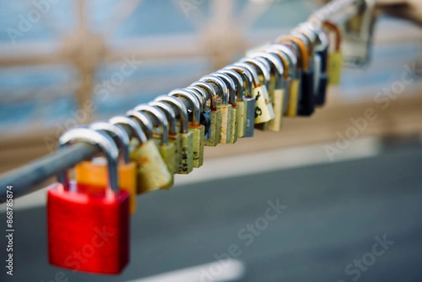 Obraz Padlocks