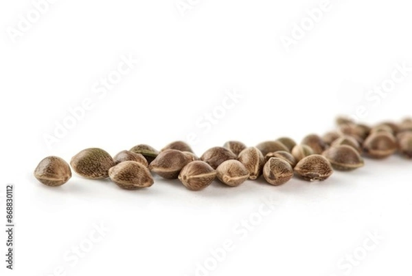 Fototapeta A collection of various nuts on a clean white background