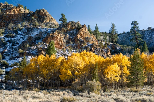 Fototapeta Autumn in the wilderness of the Sierra Nevada Mountain Range