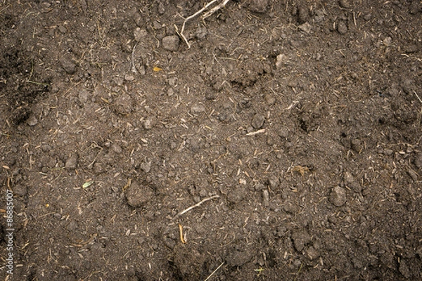 Obraz Soil texture background