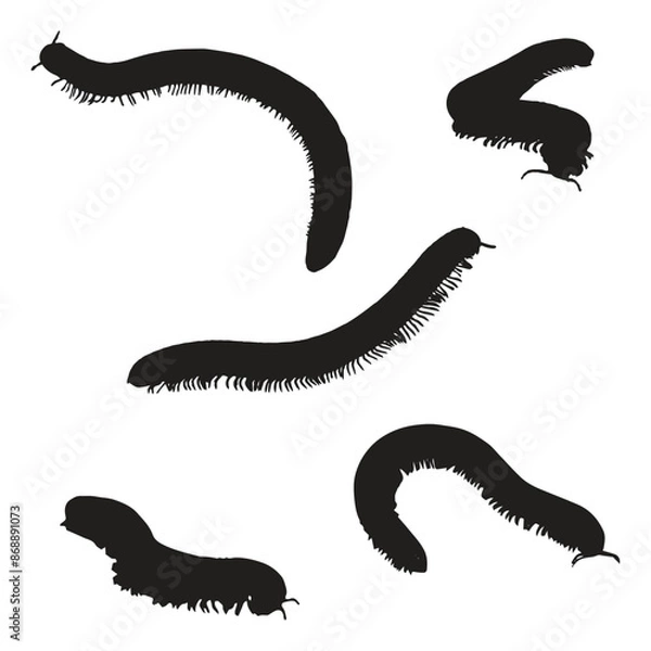 Obraz Millipede Silhouette Vector Illustration Bundle