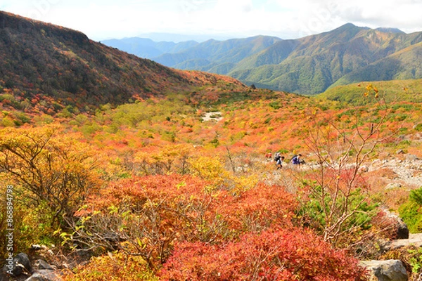 Obraz 那須連山茶臼岳、姥ヶ平紅葉真っ盛り