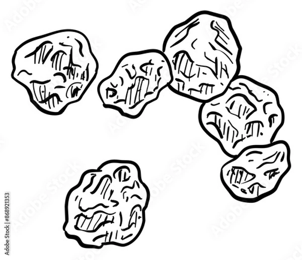 Fototapeta nuts handdrawn illustration