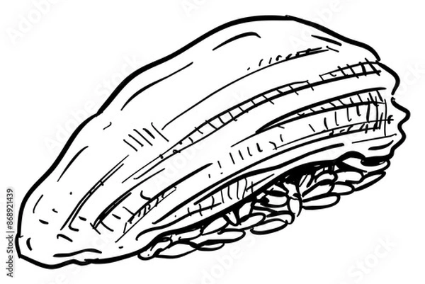 Fototapeta sushi handdrawn illustration