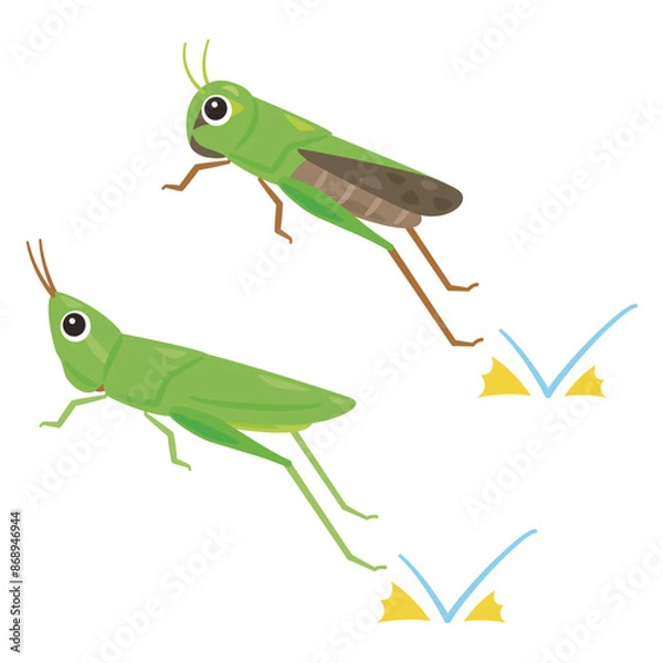 Fototapeta ジャンプするバッタ