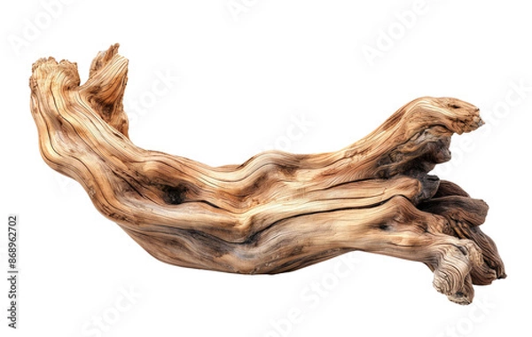 Fototapeta Dried dead tree trunk. Weathered driftwood cut out