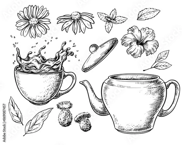 Fototapeta Teapot and cup with camomille vintage vector sketch drawing	