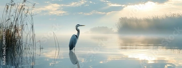 Fototapeta  A bird stands in the water, surrounded by reeds in the foreground Sunlight filters through the clouds in the background