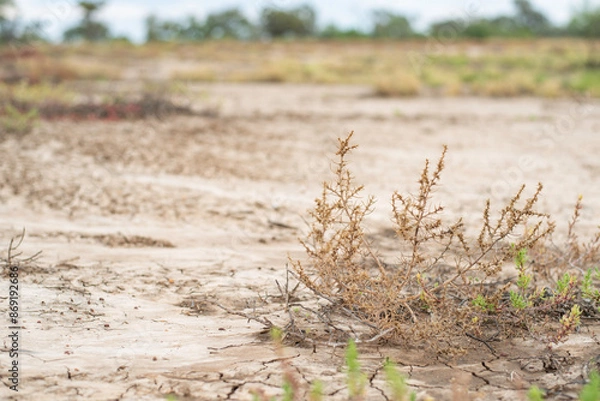 Obraz plains in the Australian outback