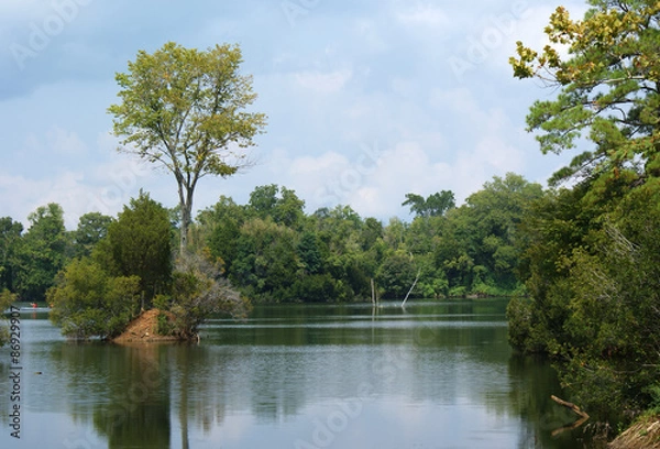 Obraz Lone Star Lakes