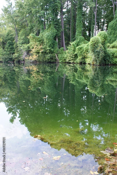Obraz Lone Star Lakes