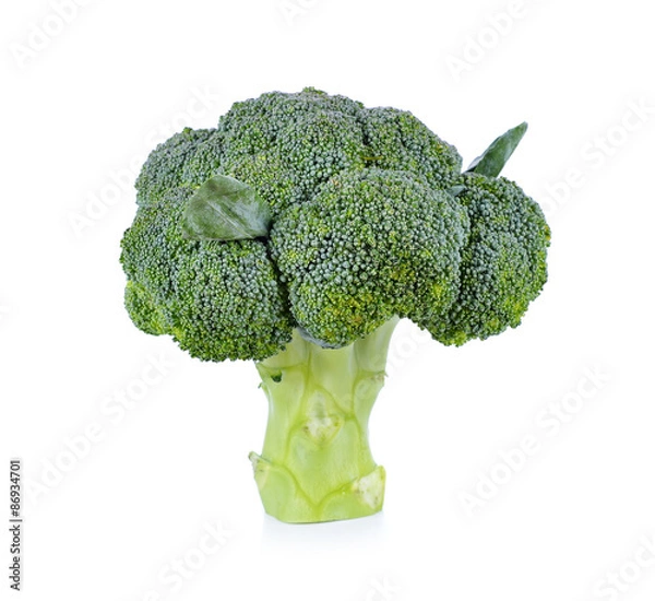 Obraz Broccoli isolated on white background