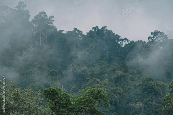 Obraz On Earth Day, Celebrate beauty of nature with its tropical forests, misty mountains, and lush canopies. The serene landscape enveloped in fog and rain showcases the resilience of our environment