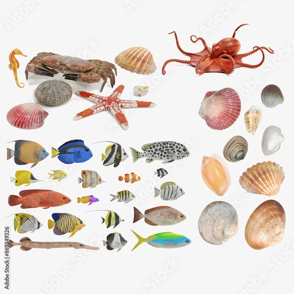 Fototapeta Realistic 3D Render of Sealife Collection