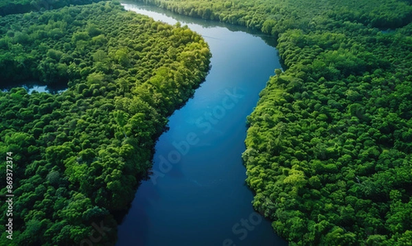 Fototapeta Winding river flowing through lush green forest aerial view