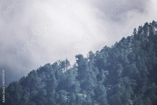 Fototapeta Mount Andong covered with clouds during the day. Misty and foggy hills. Concept for International Day of Forest, World Environment Day.