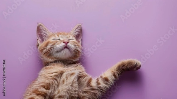 Fototapeta A cat stretching lazily, pastel purple background, space above for text
