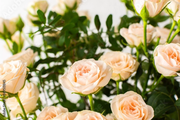 Fototapeta A bouquet of delicate cream roses close up, home decoration with flowers, a festive bouquet of roses for a birthday or wedding