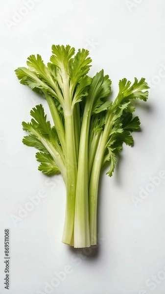 Fototapeta celery isolated on white background