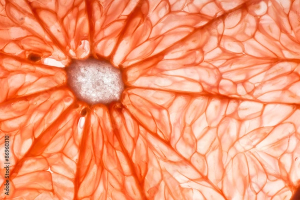 Obraz zbliżenie plasterek grejpfruta