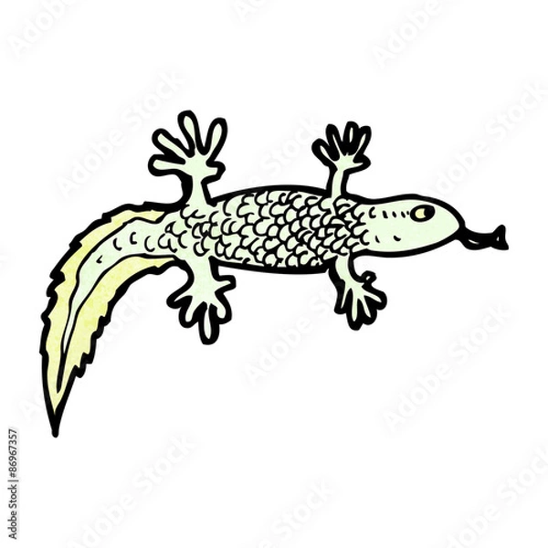 Fototapeta cartoon newt