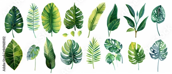 Fototapeta Vibrant watercolor illustration of various tropical leaves in different shapes and sizes, white background, clip art style, flat design


