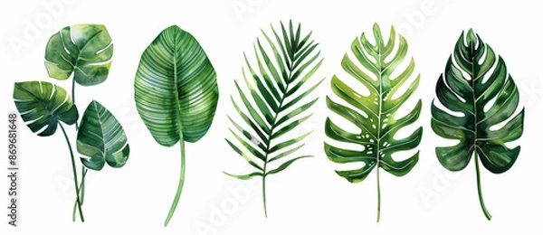 Fototapeta Vibrant watercolor illustration of various tropical leaves in different shapes and sizes, white background, clip art style, flat design


