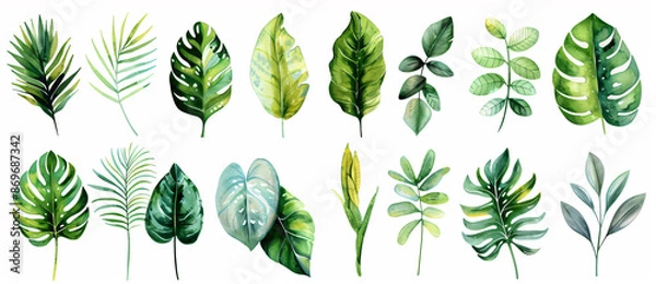 Fototapeta Vibrant watercolor illustration of various tropical leaves in different shapes and sizes, white background, clip art style, flat design


