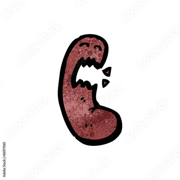 Obraz cartoon kidney
