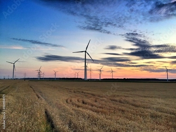 Obraz windräder sonnenuntergang