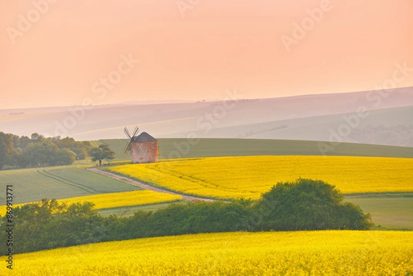 Fototapeta Old windmill in blooming Spring landscape with rolling hills. Yellow colza canola fields in sunset light. Kunkovice, Moravia, Czech