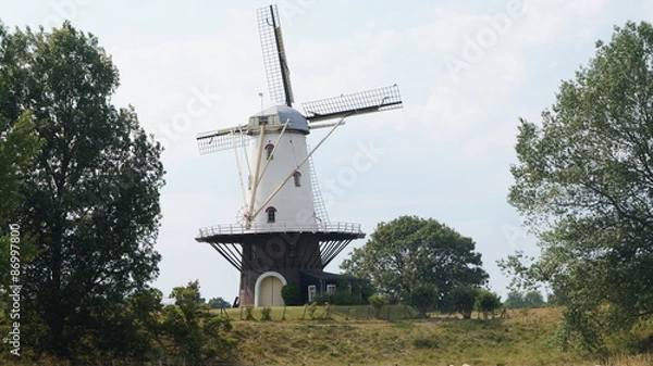 Obraz Mühle in Veere