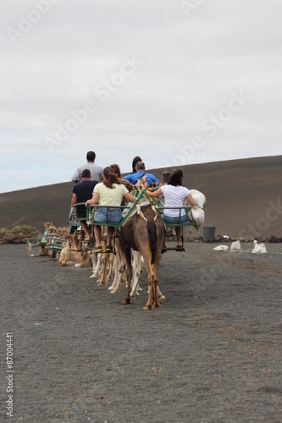 Obraz Eine Kamelkarawane
