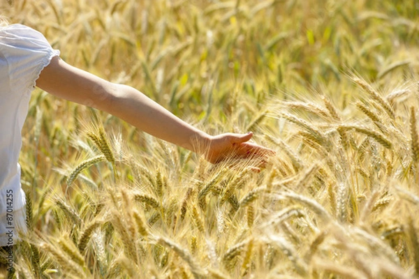 Obraz Mädchen im Kornfeld
