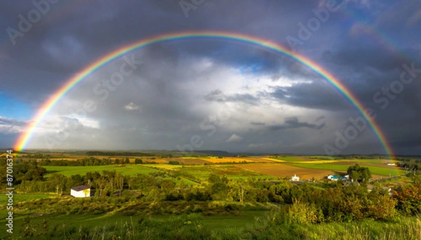 Obraz 丘にかかる虹