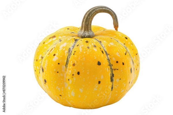 Obraz Squash yellow isolated on transparent background