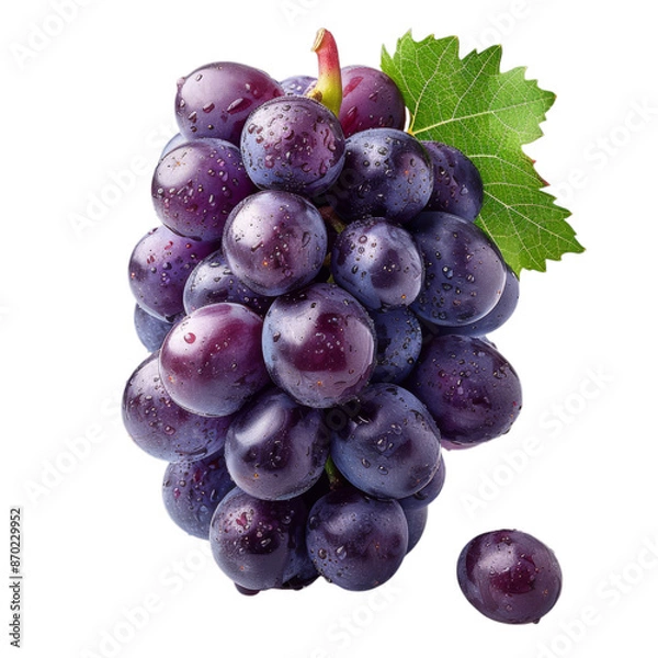 Obraz Detailed cutout of a A cluster of grapes isolated 