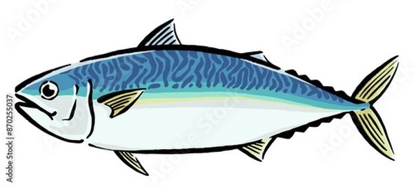 Obraz 鯖　イラスト