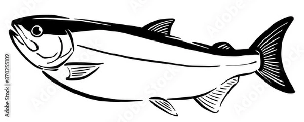 Obraz サケ（白鮭）の手書き線画イラスト