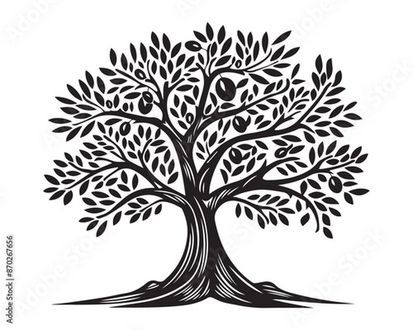 Obraz hand drawn Black and White Vector Illustration of Leafy Tree in Vintage Engraving Style