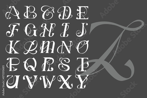 Fototapeta Abstract Type Elegance Font Illustration