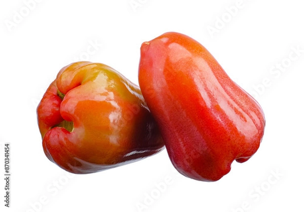 Obraz rose apple isolated on white background