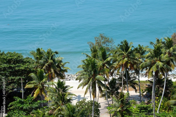 Fototapeta Top view of palm trees near the beach in Kerala, India.