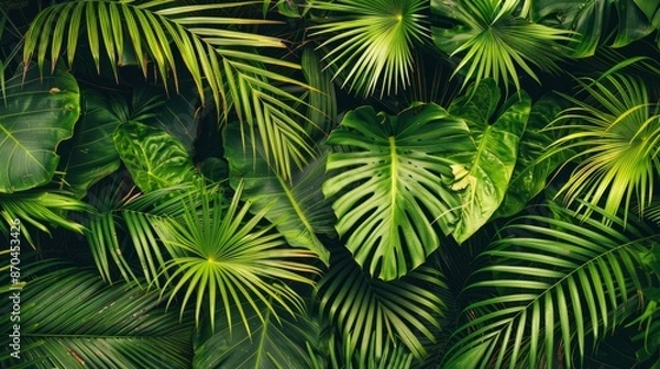 Fototapeta Tropic pattern with palm summer plant in nature. Leaves background green floral, jungle wallpaper exotic seamless. Spring foliage texture design. 