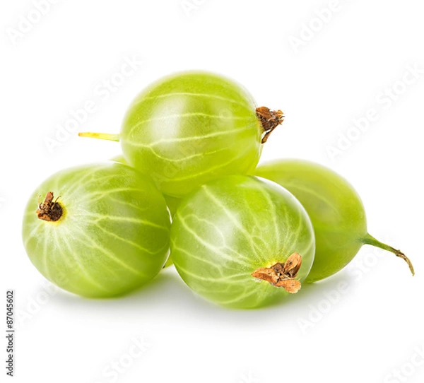 Fototapeta Gooseberries isolated on white background