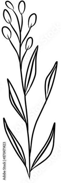 Fototapeta Wildflower illustration for your design